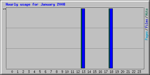 Hourly usage for January 2008