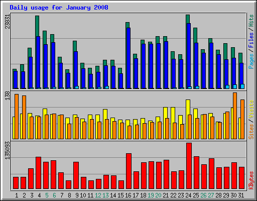 Daily usage for January 2008