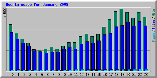 Hourly usage for January 2008